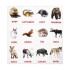 Карточки по методике Домана "Дикие животные" Обучающие