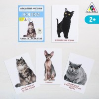 Карточки по методике Домана "Кошки"