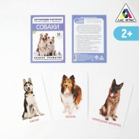 Карточки по методике Домана "Собаки"