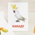 Карточки по методике Домана "Попугаи"