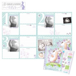 Плакат будущей мамочки в папке " 9 месяцев в ожидании чуда" для вклейки фото и записей на каждый месяц + наклейки