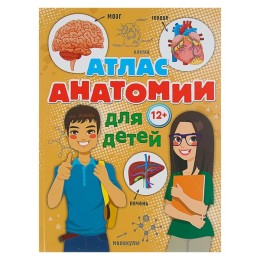 Атлас анатомии для детей. Швырев А. А.